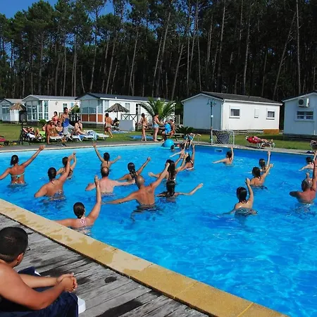 Natur Camping Bungalow T2 Superior - 7 * 帕塔亚什